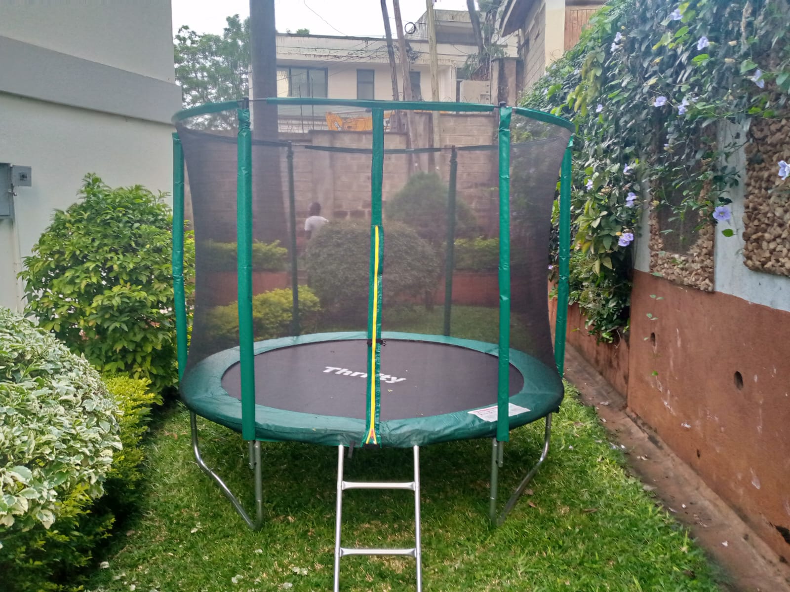 Finding the Best Place to Buy Your Trampoline
